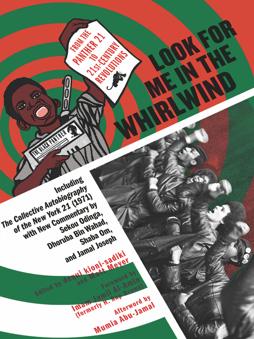 Cover image for Look for Me in the Whirlwind